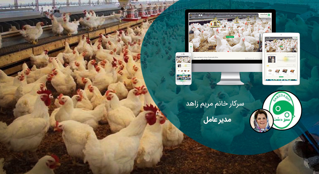 طراحی سایت دامپزشکی و ساخت وب سایت دامپروری و طراحی وب سایت برای شرکت های مرتبط با دام و طیور و طراحی سایت مرغداری ها و طراحی فروشگاه اینترنتی تجهیزات دامپروری و راه اندازی سایت فروشگاهی برای شرکت های تامین تجهیزات دام و طیور - طراحی سایت صنایع دام و طیور برای مجتمع كشت و صنعت سبزدشت
