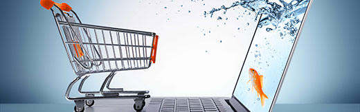 Electronic-Commerce-Companies-Web-Site-Design-Benchmark-Size-And-Style-Smart-Filter طراحی سایت شرکت تجارت الکترونیک و طراحی سایت شرکتهای تجارت الکترونیکی و طراحی وب سایت برای ایده های تجارت الکترونیک و ساخت وبسایت شرکتهای فعال در عرصه ایکامرس - بنچمارک فیلتر هوشمند سایز و استایل