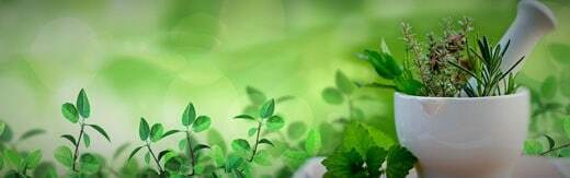 Medicinal-Plants-Web-Site-Design-User-Friendly طراحی سایت گیاهان دارویی و طراحی وب سایت شرکتهای فعال در زمینه داروهای گیاهی و شرکت های تولیدکننده یا واردکننده گیاه دارویی- طراحی سایت گیاهان دارویی برای وبسایت Saptamveda در کشور هند