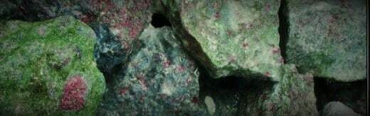 طراحی سایت معدن و صنایع معدنی و طراحی سایت شرکت معدنی و طراحی سایت معدن و طراحی سایت معادن و طراحی وب سایت شرکتهای معدنی و طراحی فروشگاه اینترنتی مواد معدنی و طراحی پرتال اطلاع رسانی معادن و ساخت سایت صنایع معدنی و طراحی فروشگاه اینترنتی تجهیزات معدن و طراحی وبسایت معادن و طراحی سایت ماشین آلات معدنی - طراحی سایت معدن برای وبسایت Vale در کشور برزیل