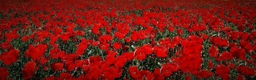 طراحی سایت بجنورد و بهترین شرکت طراح وب در شهر بجنورد و طراحی سایت در بجنورد و طراحی وب سایت در بجنورد جهت شرکت های خواهان استخدام طراح سایت در بجنورد و پروژه های به دنبال شرکت های طراحی سایت در بجنورد و ساخت وبسایت در بجنورد و راه اندازی فروشگاه اینترنتی در بجنورد - طراحی سایت بجنورد برای وب‌سایت شرکت سیمان بجنورد در کشور ایران