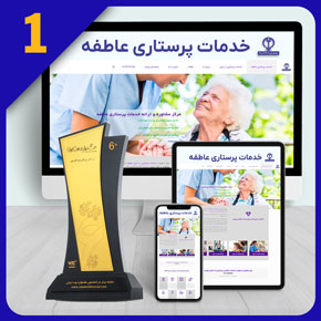 Nursing-Companies-Web-Site-Design طراحی سایت پرستاری و طراحی وب سایت شرکت های تامین پرستار و طراحی سایت پرستاری از کودکان و ساخت سایت فروشگاهی محصولات پرستاری و راه اندازی وب سایت پرستاری از سالمندان و افراد مسن