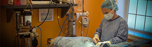 طراحی سایت مرکز جراحی و طراحی وب جراحان و طراحی وب سایت مراکز جراحی محدود و طراحی وبسایت پزشکان جراح - بنچمارک مشاوره آنلاین جراحی و خدمات ویژه