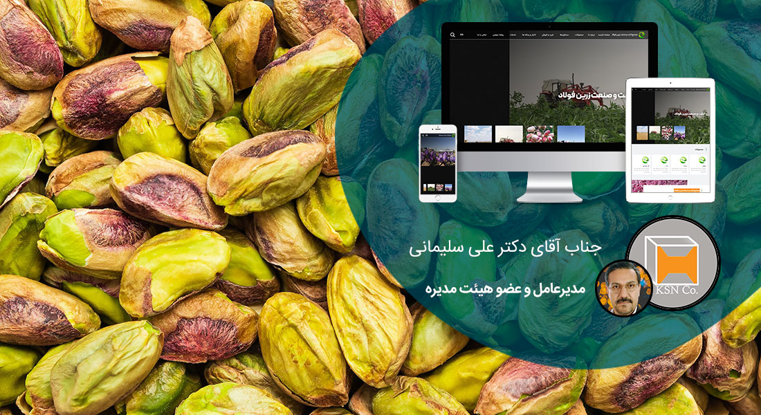 طراحی سایت پسته و طراحی فروشگاه اینترنتی پسته جات و ساخت وب سایت شرکت های صادرات پسته - طراحی سایت پسته برای مجتمع کشت و صنعت زرین فولاد