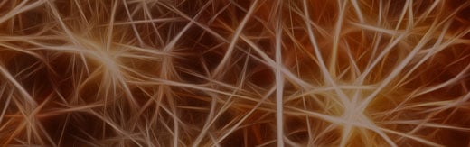 طراحی سایت مجله علمی و طراحی وب مجلات علمی پژوهشی، راه اندازی وبسایت مجله های علمی ترویجی، طراحی پرتال مجله های علمی آموزشی، طراحی سایت های مجله علمی تخصصی و مجله علمی پزشکی و مجله های حقوقی علمی و مجله های علمی فناوری و مجلات علمی فرهنگی- طراحی سایت برای برند وبسایت Nature در کشور انگلستان